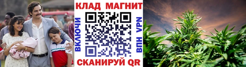 Наркотические вещества Боровичи A PVP  Меф мяу мяу  МДМА  Гашиш 