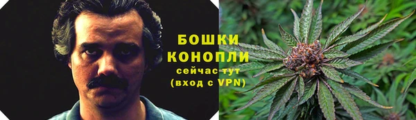 ГАЛЛЮЦИНОГЕННЫЕ ГРИБЫ Беломорск