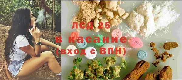 ГАЛЛЮЦИНОГЕННЫЕ ГРИБЫ Беломорск