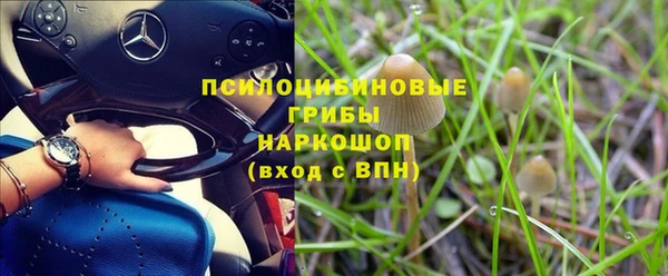 ГАЛЛЮЦИНОГЕННЫЕ ГРИБЫ Беломорск