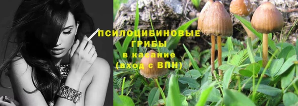 стаф Белоозёрский