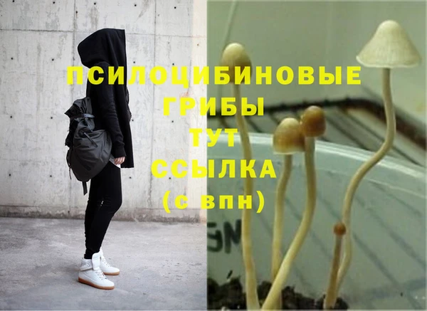 стаф Белоозёрский