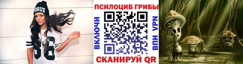 Псилоцибиновые грибы Cubensis Боровичи